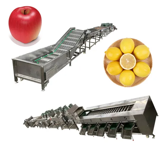 Gemüsewaschmaschine für Süßkartoffeln